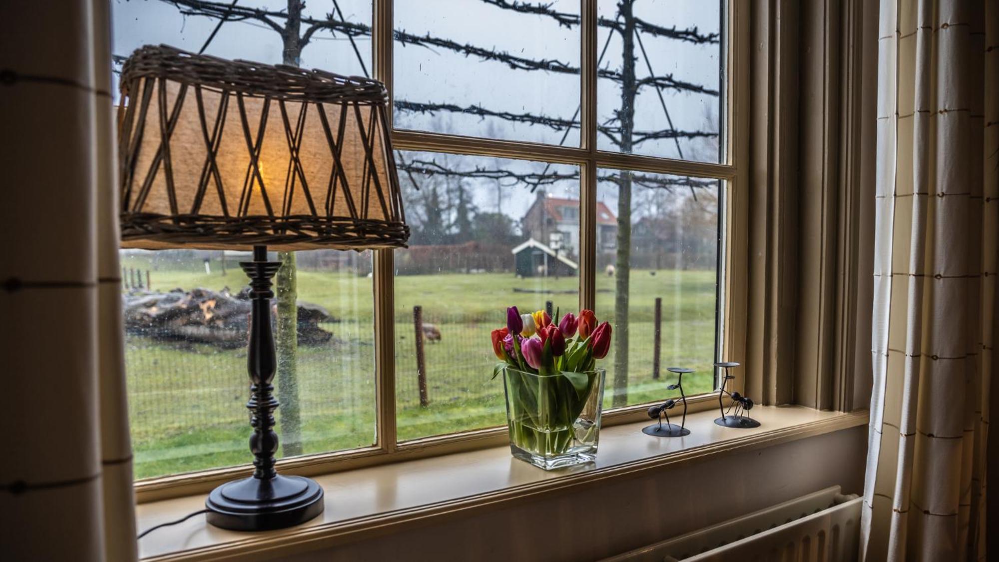Vakantiewoning - Kon. Emmaweg 26 | Vrouwenpolder 'Uitspanning Oranjezon' Esterno foto